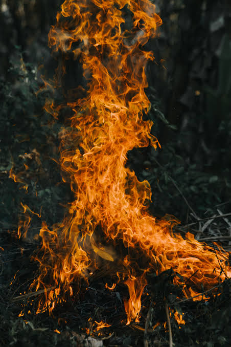 France Wildfires