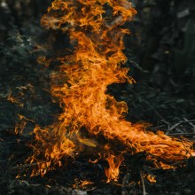 France Wildfires